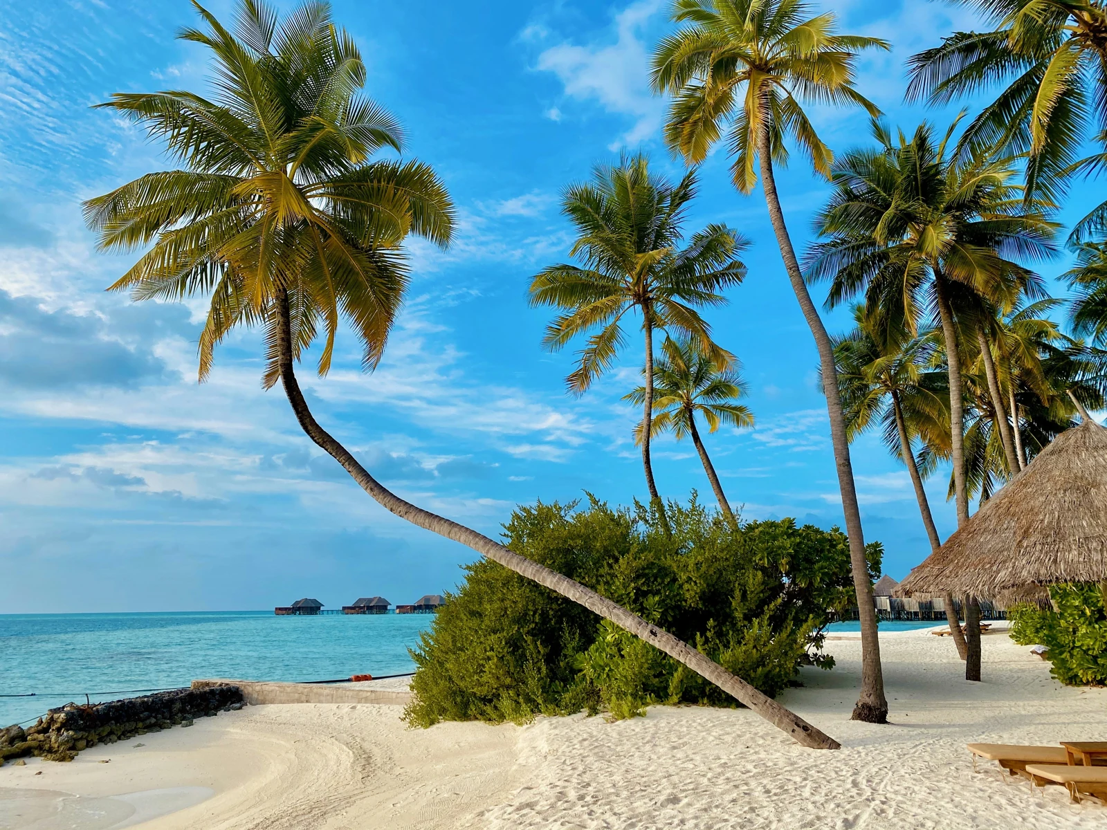 Песчаный берег с пальмами и виллы на воде вдали в Conrad Maldives Rangali Island