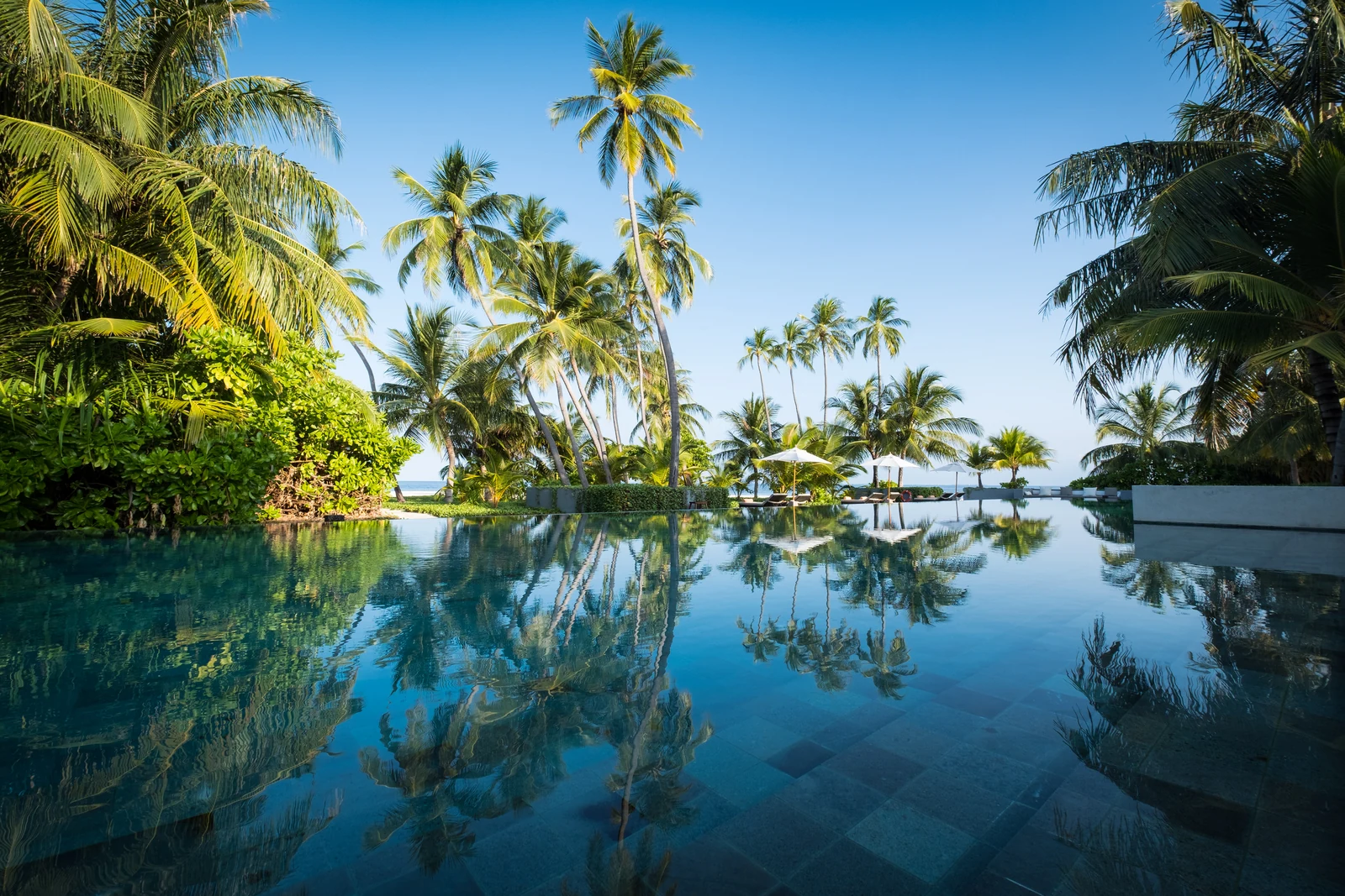 Бассейн среди пальм в Park Hyatt Maldives Hadahaa, с шезлонгами и белыми зонтами на дальнем краю.