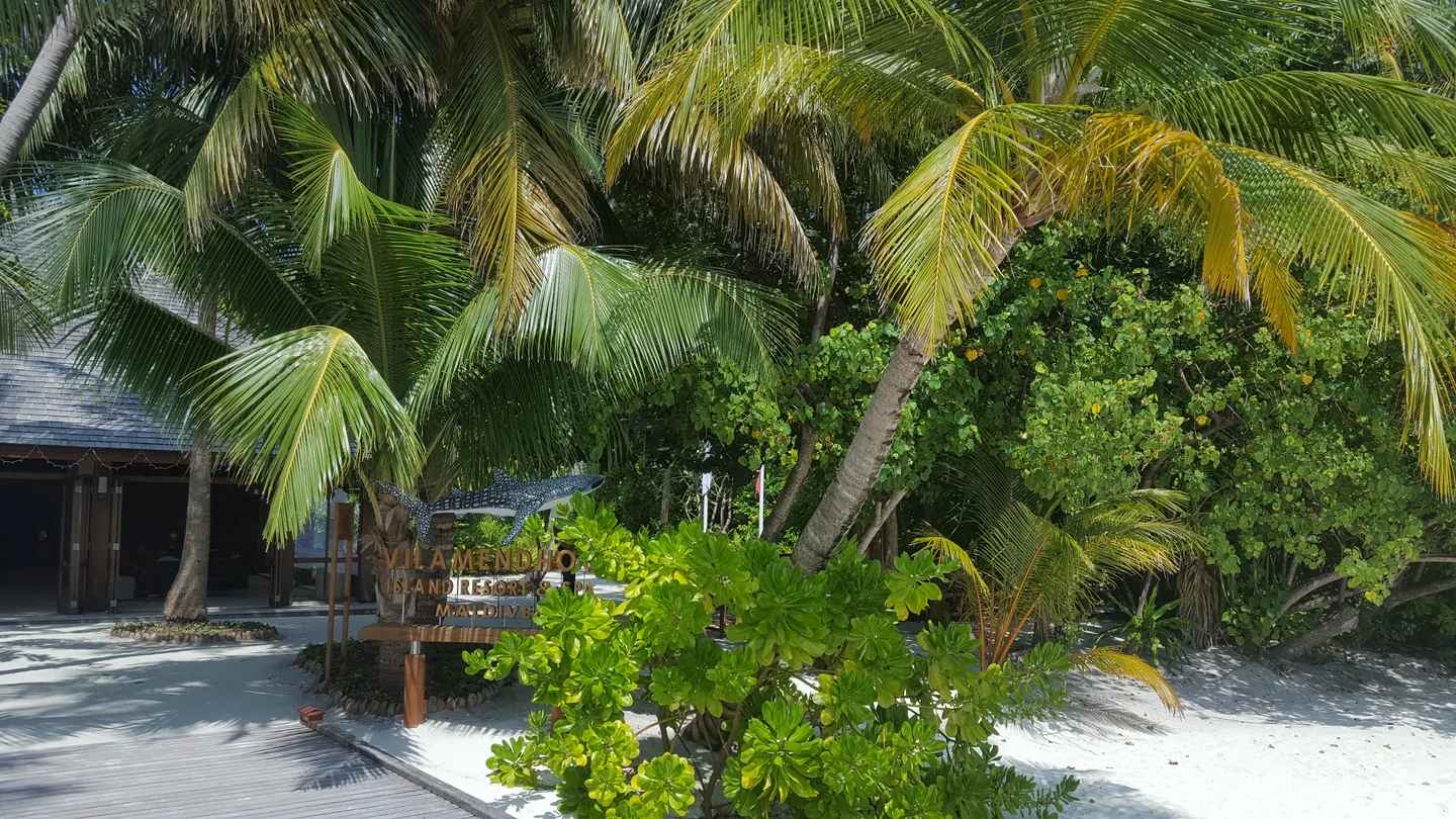 Табличка Vilamendhoo Island Resort & Spa среди пальм у зоны прибытия, архивный снимок декабря 2018 года