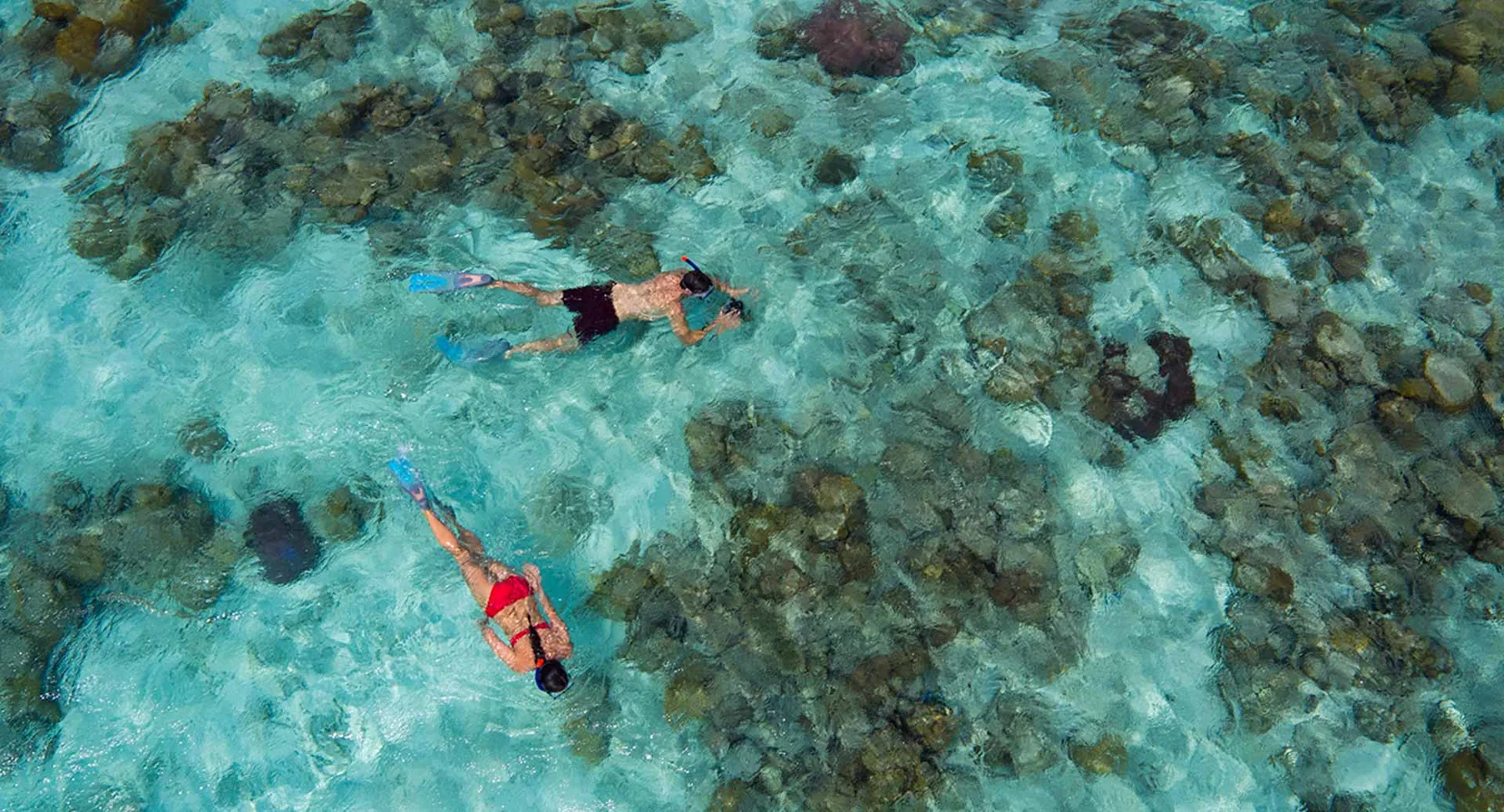 Anantara Kihavah Maldives Villas — Снорклинг на домашнем рифе