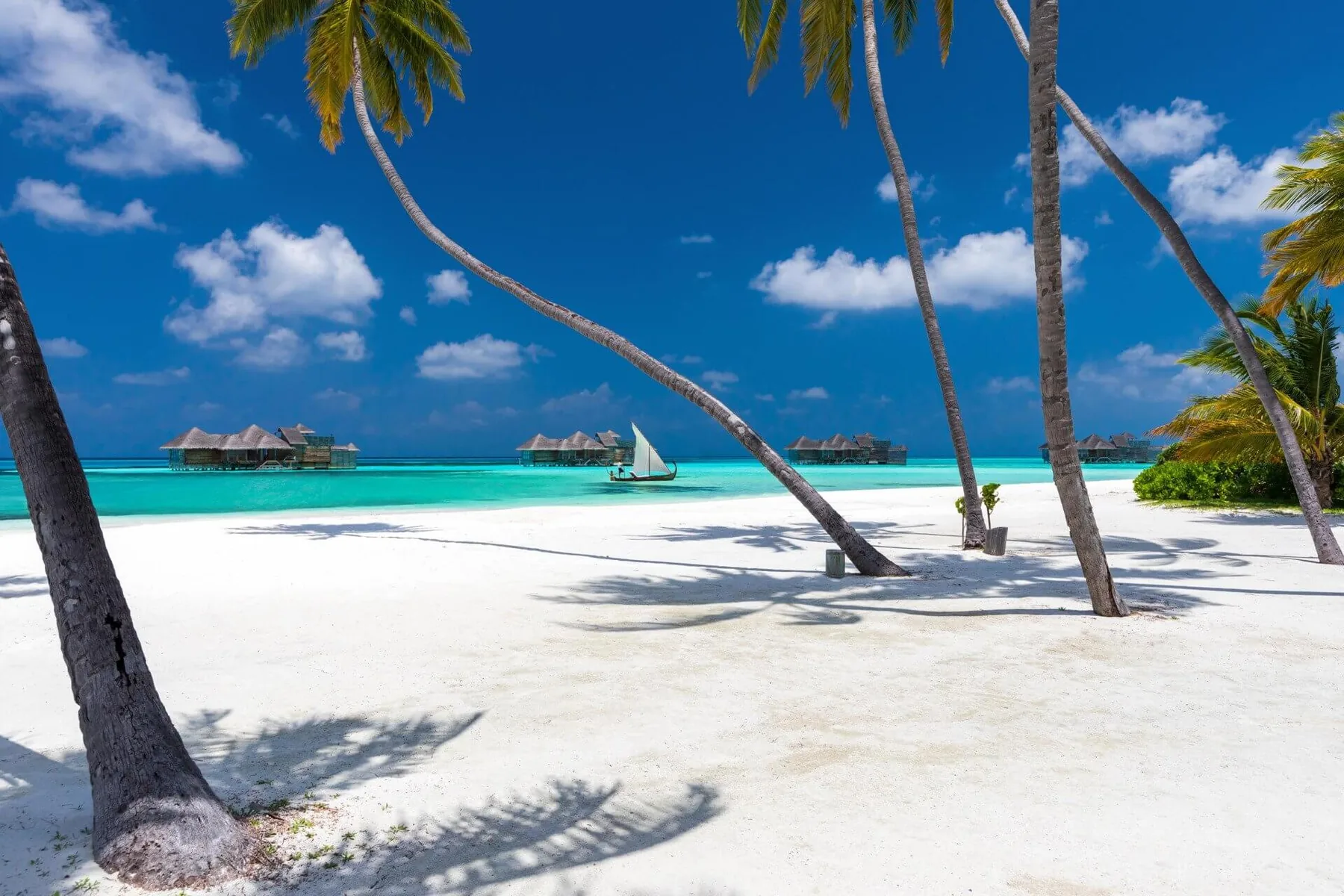 Gili Lankanfushi — Пляж острова